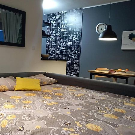 Sun Center Apartment Nowy Sad Zewnętrze zdjęcie